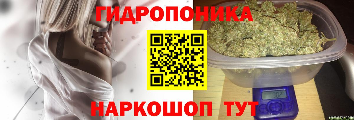 Канабис ГИДРОПОН  Конопля AK-47  Каннабис индика  Вход с VPN  Тавда 